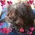 Barb Benner Olson's profile image