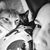 Christine Kovach Crumlich's profile image