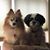 Valerie Burack Davis's profile image
