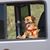 Greg Thompson's profile image