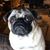 Laurie Brouwer Chenoweth's profile image