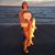 Dona Jean Castelluccio's profile image