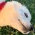 Leanne Tripp's profile image