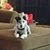 Sandy Ikerd's profile image