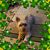 Patricia Finnegan's profile image