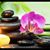 Khanh Vy's profile image