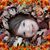 Gwen Duerksen's profile image