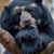 Gregory Bear Kerlin's profile image