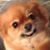 Tonya Climer Wilson's profile image