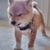 Dylan Fewin's profile image