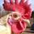 Christina Eckstine's profile image