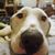 Nancy Miller Ferris's profile image