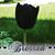 Maria Fe Alonzo Tanzer's profile image