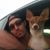Austin Hayden's profile image