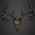 Dusten Stepp's profile image