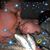 Heather Schroth's profile image