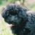 Sorrells Cheryl's profile image