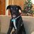 Dawn Saucier Michel's profile image