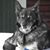 Karl Erik Kurkkio's profile image