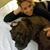 Sharon Ben-David's profile image