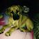 Sharon Griffin Grantham's profile image