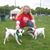 Tina Tessadri's profile image