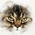 Linda Waters's profile image