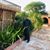 Ahmad Khan's profile image