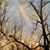 Tina Powell's profile image