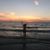 Jackie Lawrence's profile image