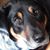 Barbara Finley's profile image