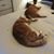 Tracy Schroeder's profile image