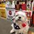 Cyndy Zapp's profile image