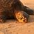 Bonnie Kamp Bowers's profile image