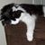 B.a. Autery's profile image