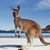 Charles Ardale's profile image