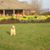 Dawn Horton-Krack's profile image