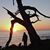 Janice Tull's profile image