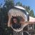 Trica Trowbridge's profile image
