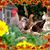 Regena Morrell's profile image