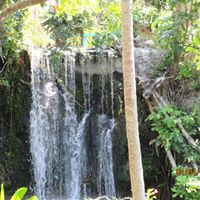 Diane Bolin's profile image