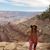 Lindsay Freeborough's profile image
