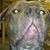 Nicklaus Christofono's profile image