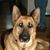 Kim Johnson-Ogletree's profile image