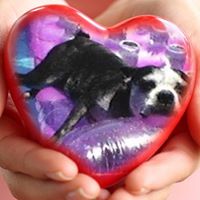 Paul Crowther's profile image