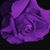 Jeni Messineo-Noonan's profile image