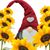Tracy Forte's profile image