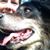 Jenny Odom Tester's profile image