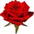 Laurie Todd's profile image