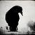 Rob Robert's profile image